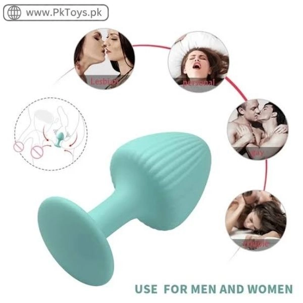Backyard Tail Anal Plug In Pakistan