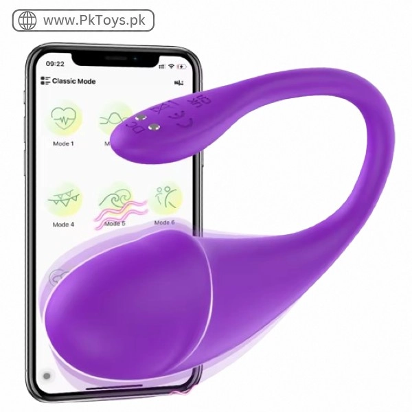Long Distance Sex Toys In Pakistan